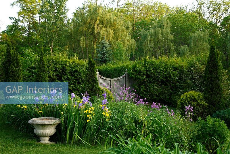 Colourful borders with Irises in country garden