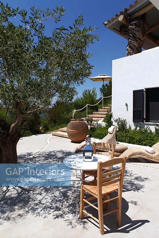 Patio with Olive tree