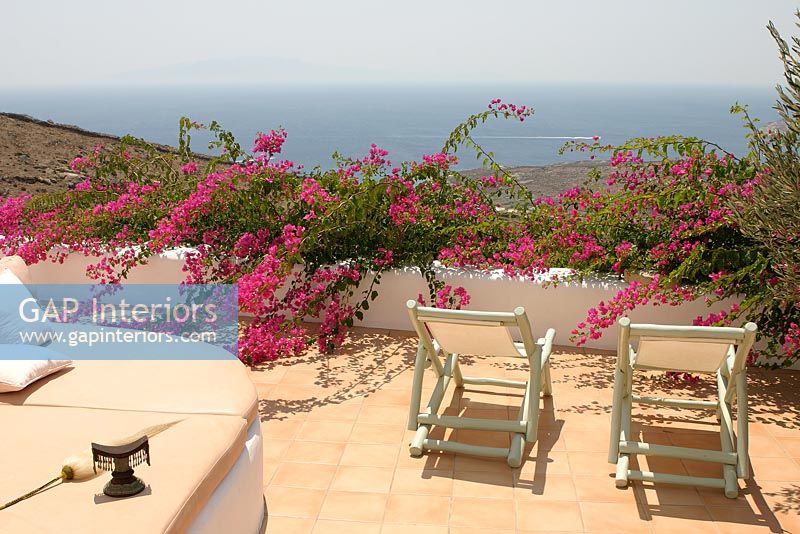 Traditional patio with Bougainvillea climbing over wall