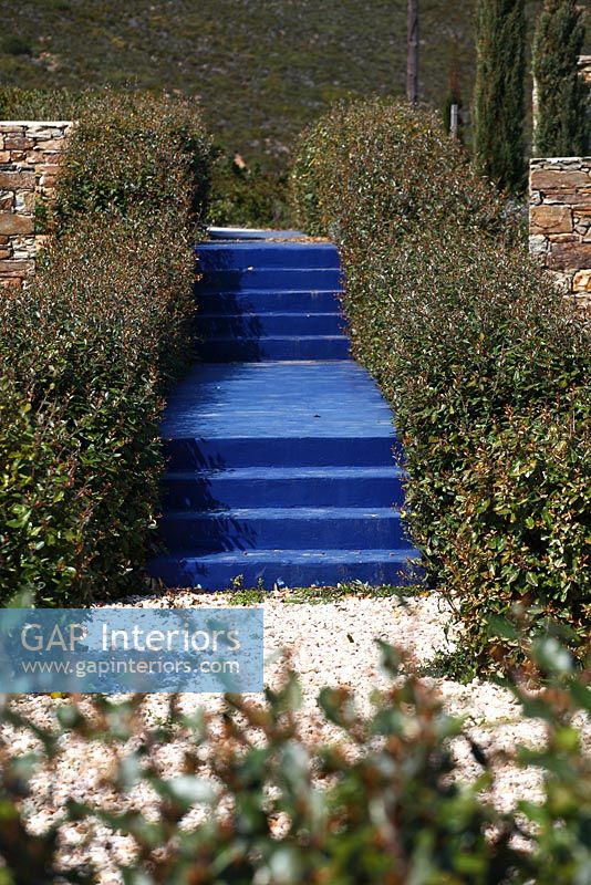Landscaped garden with blue steps