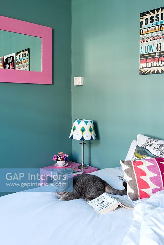 Colourful modern bed with cat