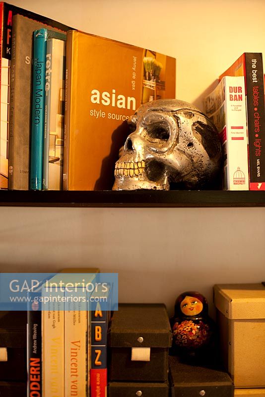 Skull sculpture on bookshelves