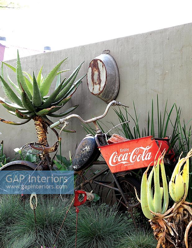 Tropical garden with display of vintage objects
