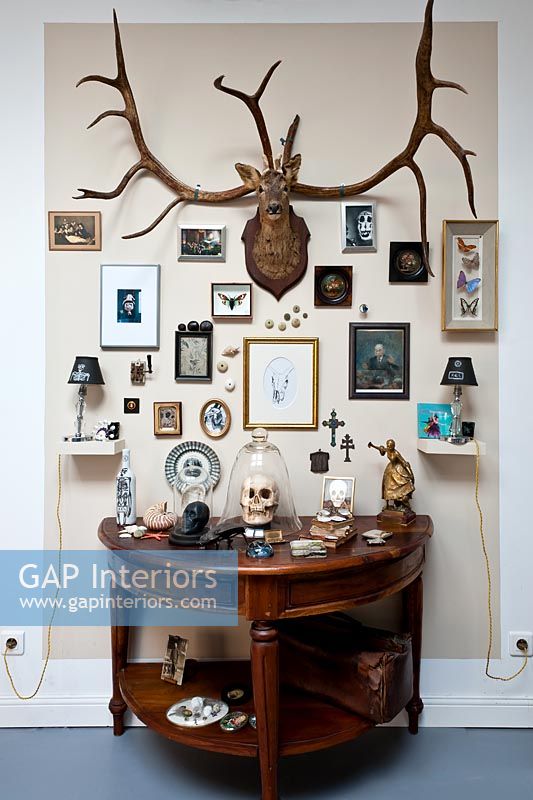 Display of curiosities with life and death theme