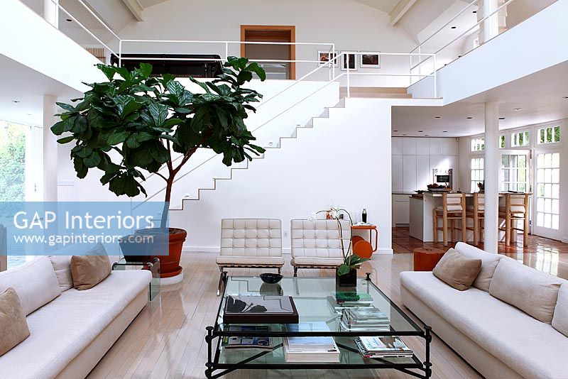 Contemporary open plan living room
