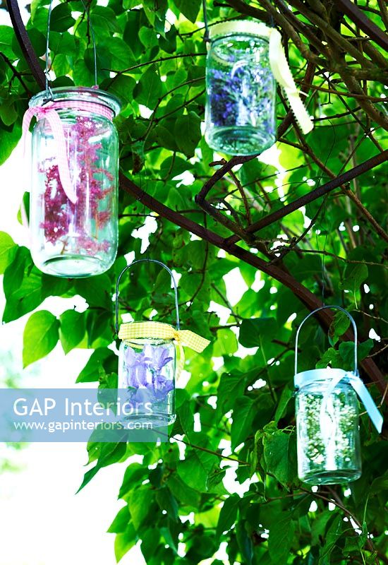 Glass jars hanging from tree