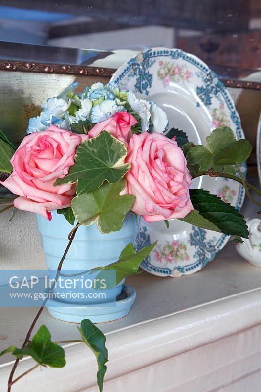 Pink Roses and Ivy foliage in blue pot