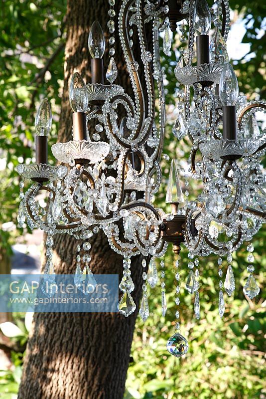 Chandelier hanging from tree