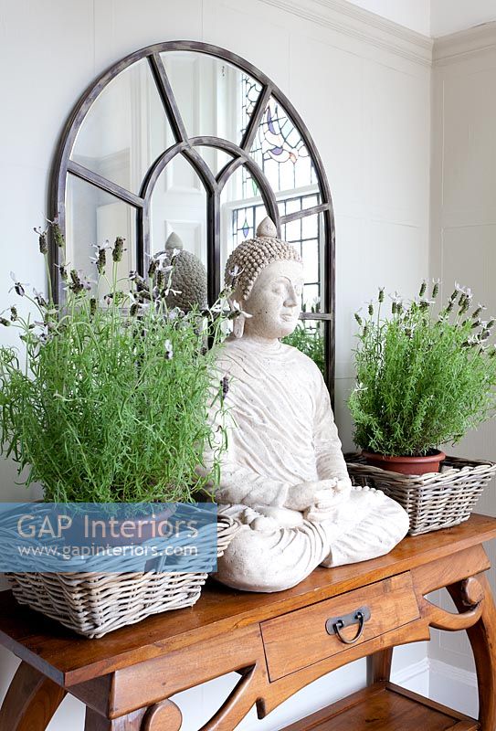 Buddha statue flanked by pots of french Lavender