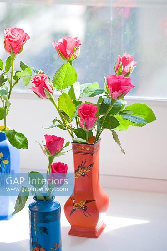 Roses in colourful vases