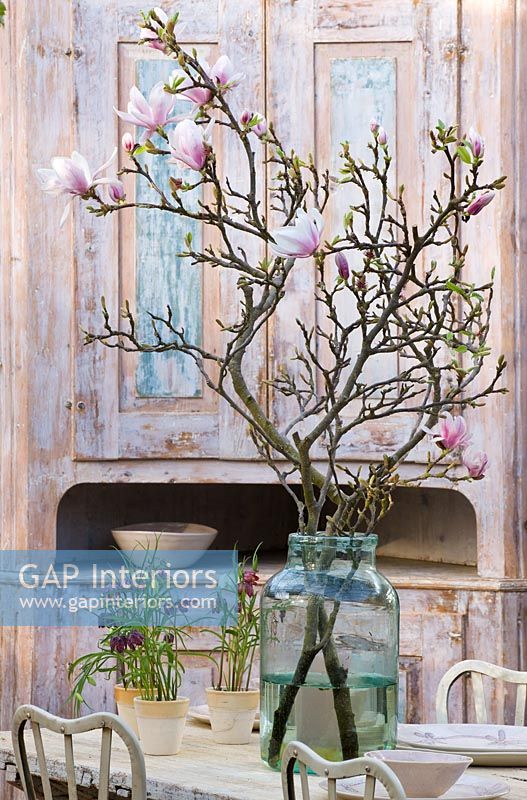 Magnolia branches in glass container