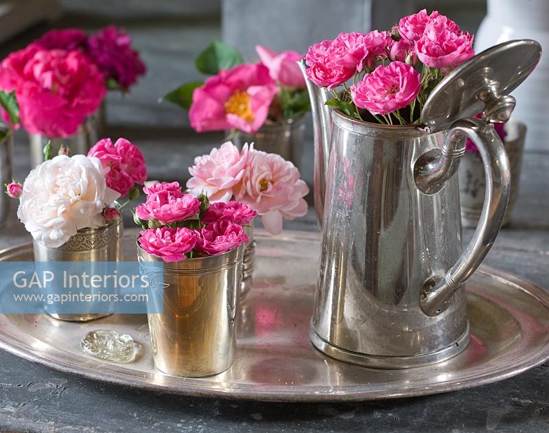 Roses 'Gruss an Aachen', 'Belle de Remalard', 'Felicia', 'Henri  Martin' and 'Complicata' in silver pots