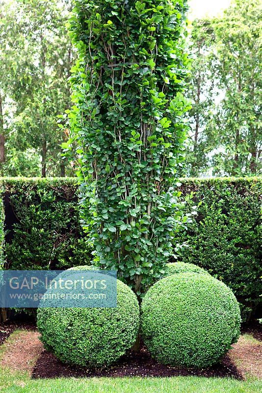 Garden border with topiary