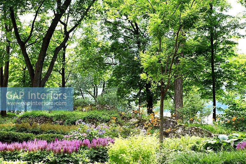 Country garden with mature shrubs and trees