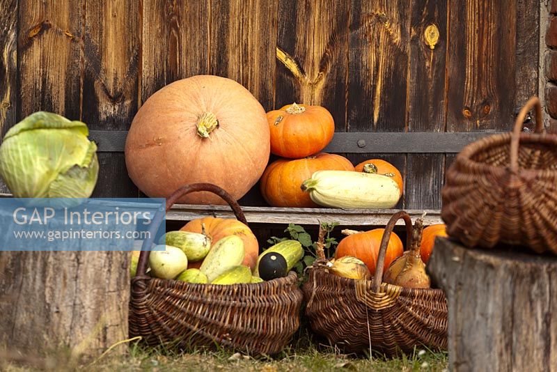 Pumpkins and squashes in wicker baskets