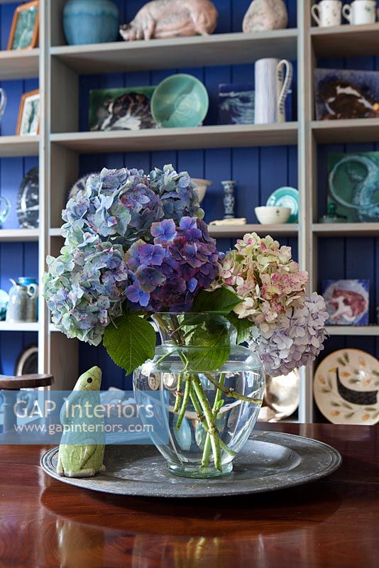 Blue Hydrangea flowers in glass vase