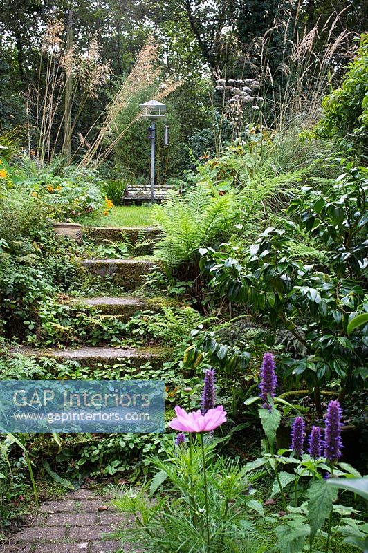 Stone steps in country garden