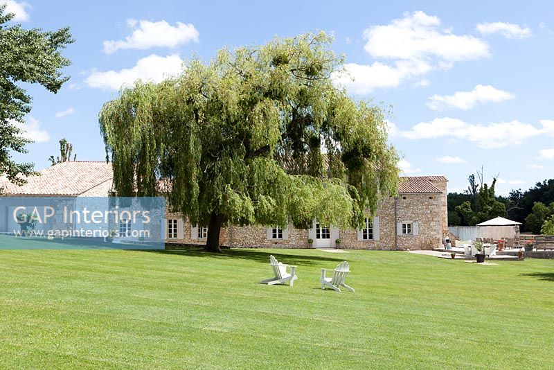 Country house and lawned garden with Willow tree