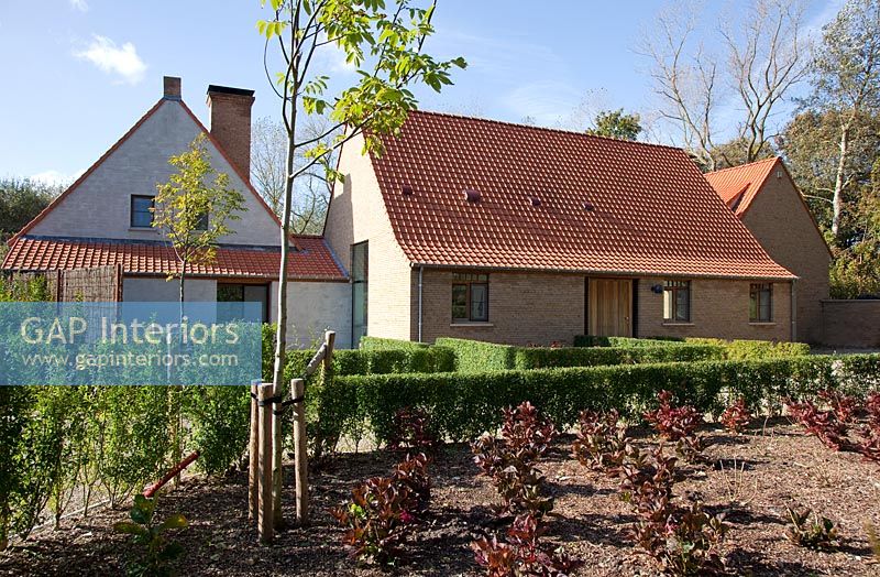 Modern house and garden