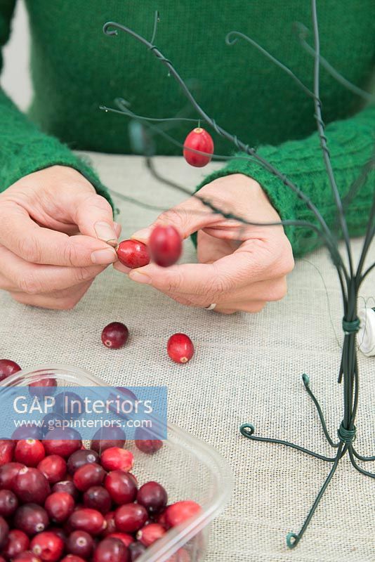 Using cotton wool and garden wire to create a Christmas tree - Adding small hooks to fresh Cranberries