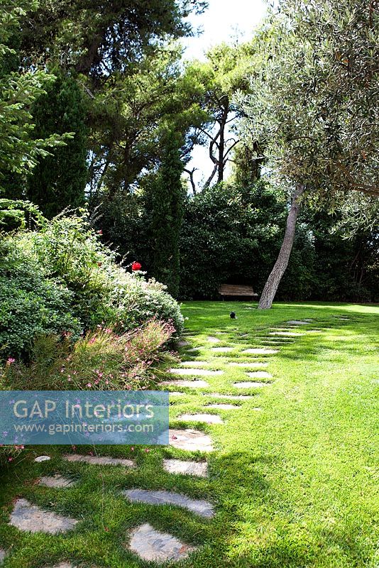 Lawned garden with path