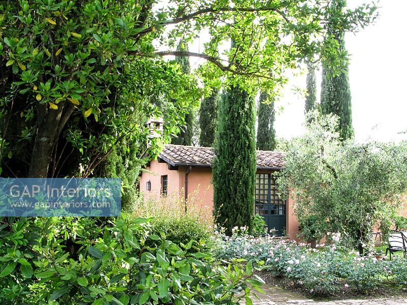 Mediterranean style garden