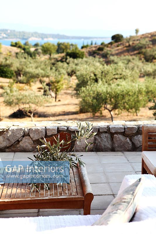 Terrace overlooking Olive grove