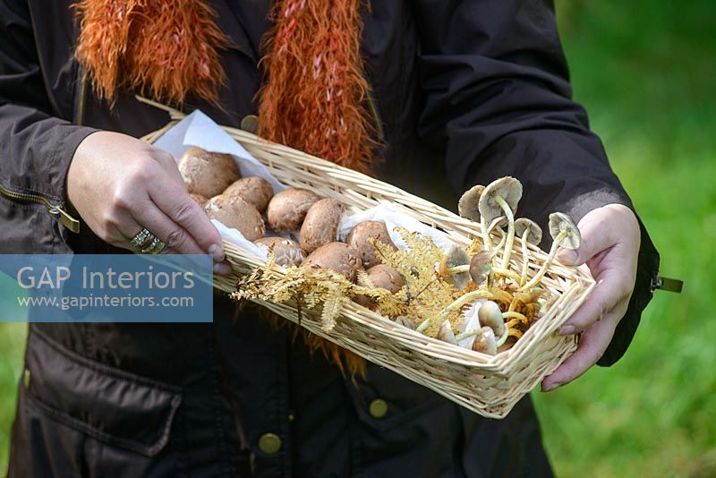 Woman holding basket of foraged mushrooms
