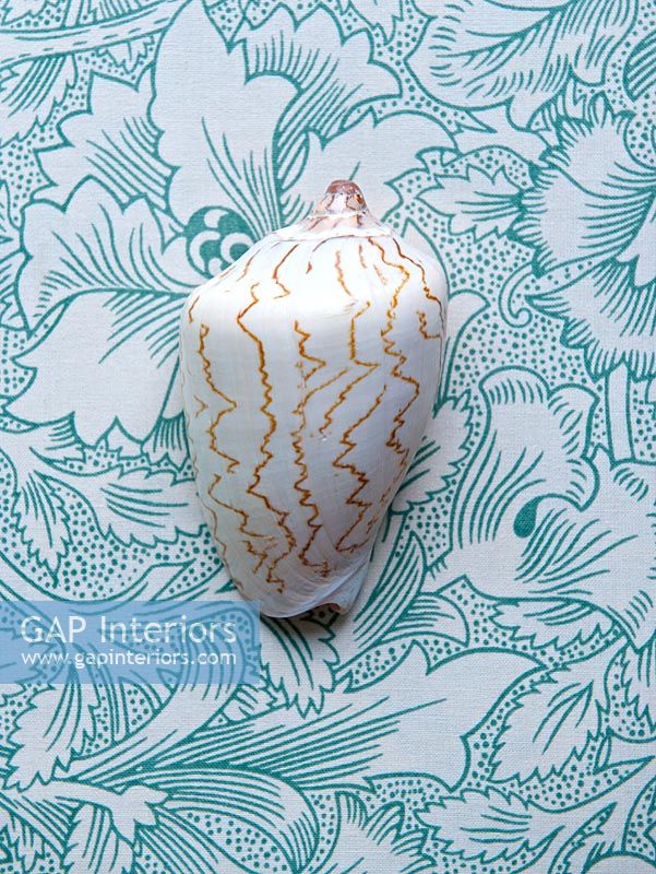 Shell on patterned fabric