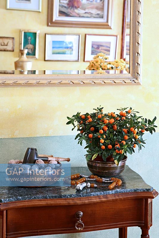 Solanum houseplant in metal pot on marble console table