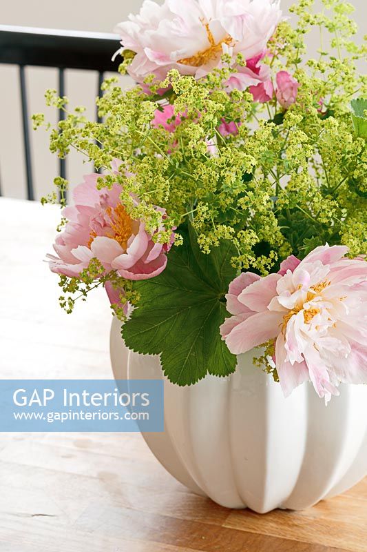 Peonies and Ladys Mantle flowers in white vase