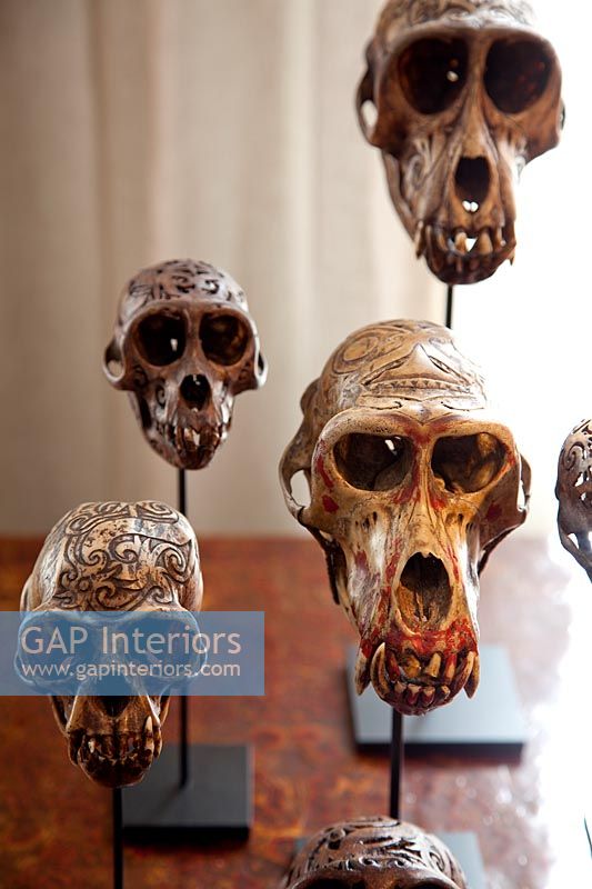 Carved animal skulls