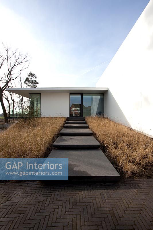 Minimal garden planted with grasses