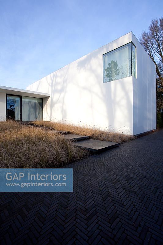 Minimal house and garden planted with grasses