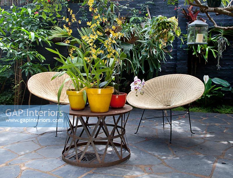 Colourful pot plants on patio table