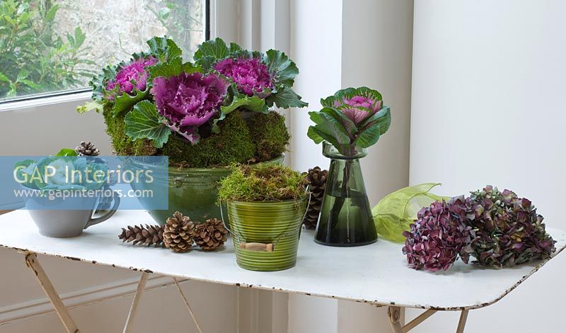 Display of Ornamental cabbages and Hydrangea flowers