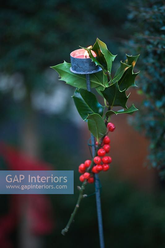 Christmas garden decoration with Holly