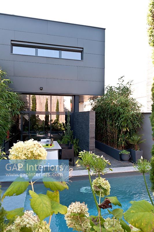 Contemporary house and garden with Hydrangeas and bamboos