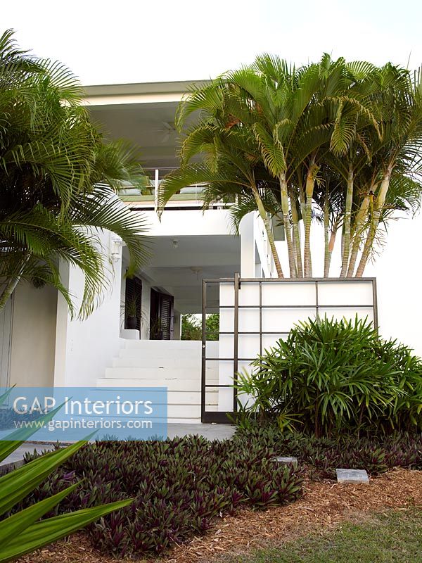 Contemporary house and tropical planting