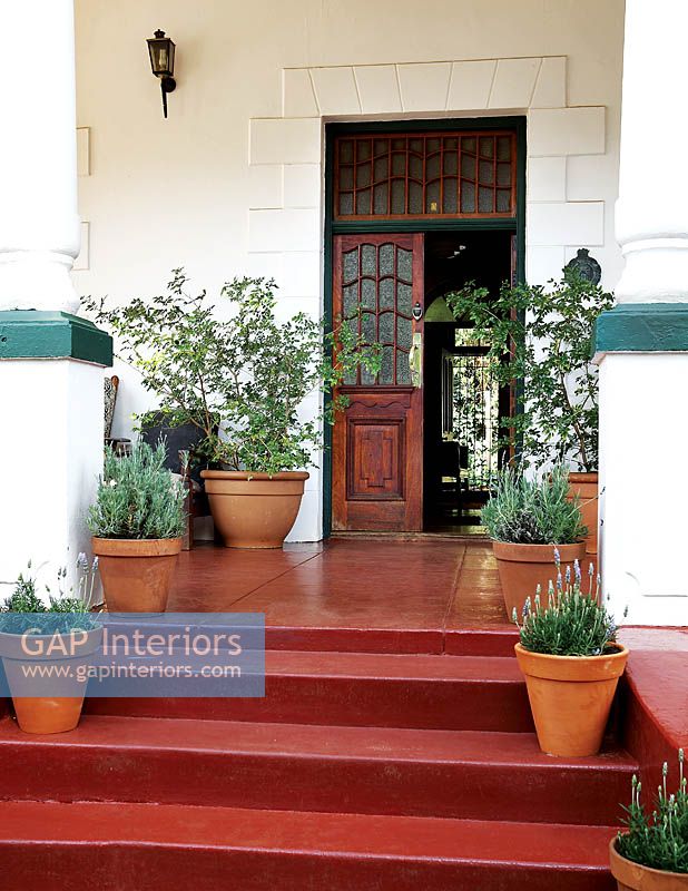 Entrance to house with pot plants