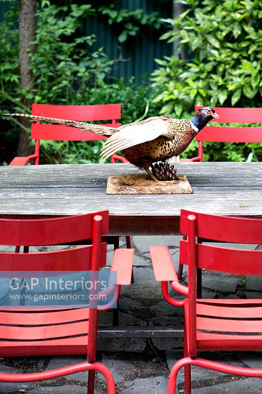 Stuffed Pheasant on garden table