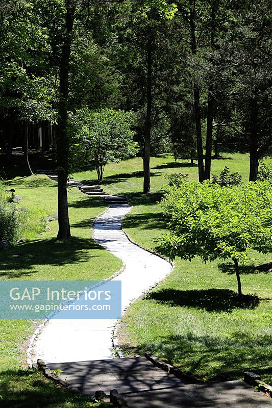 Pathway though woodland garden