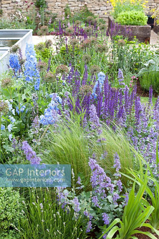 Colourful garden border with Lavender, Catmint and Delphinium flowers