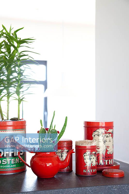 Houseplants in recycled pots