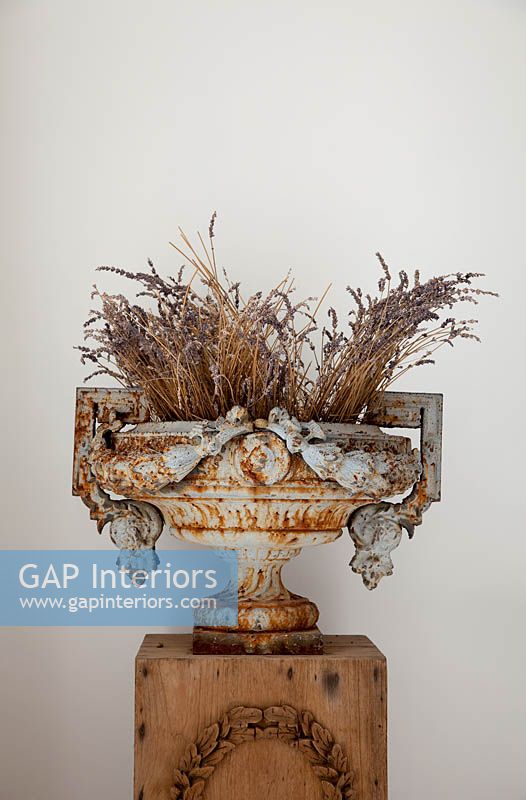 Rusty urn with dried Lavender flowers