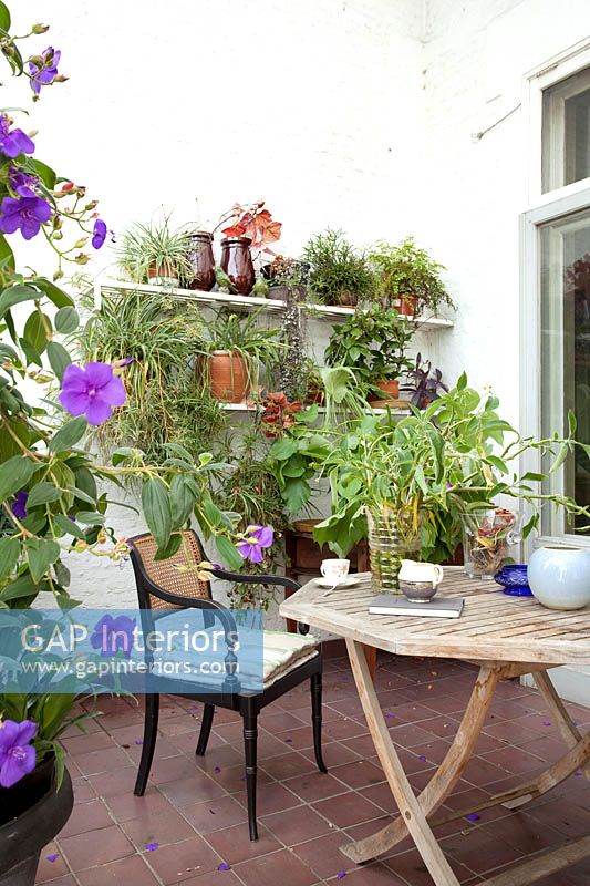 Pot plant display on patio wall