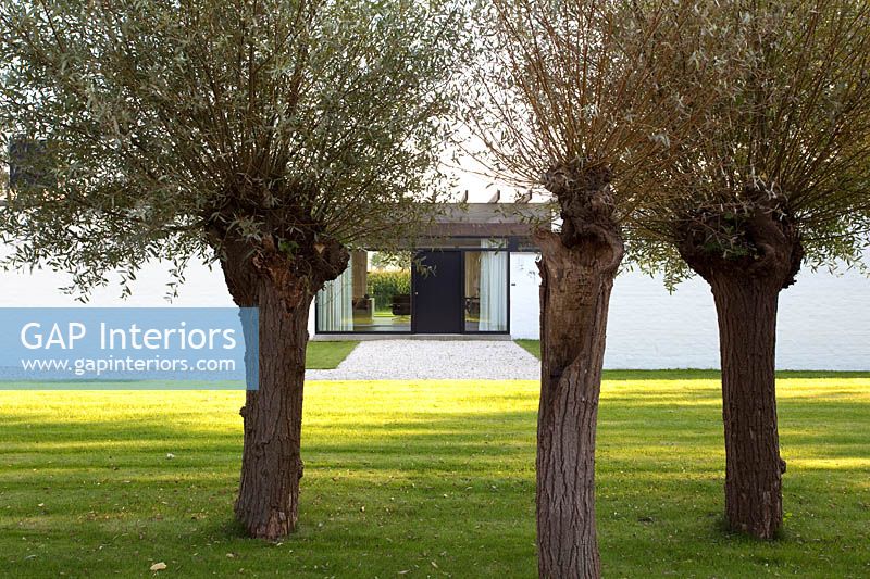 View through Willow trees to contemporary house