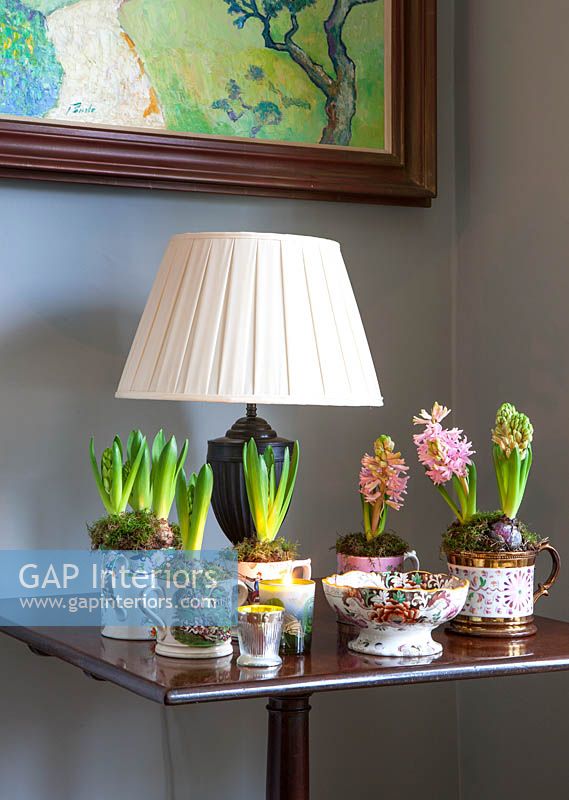 Hyacinths in patterned mugs