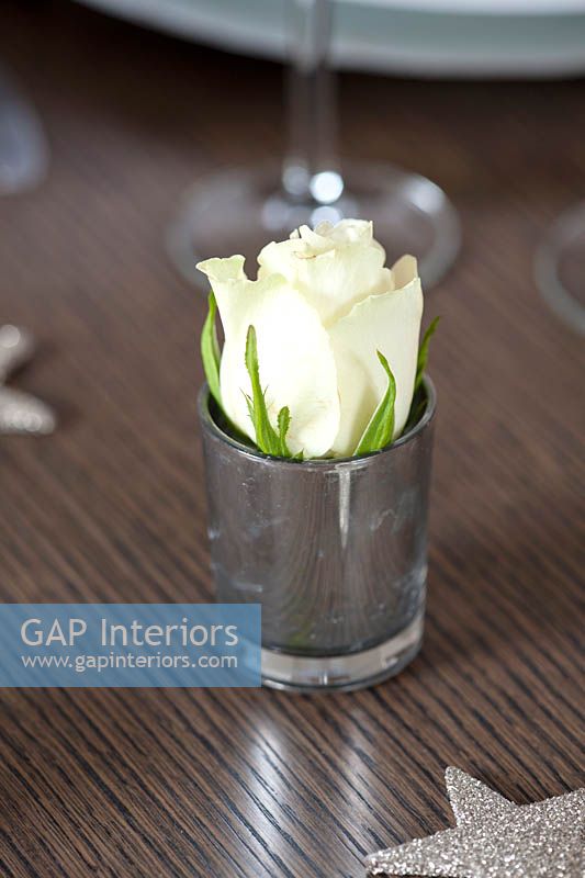 White Rose in silver glass