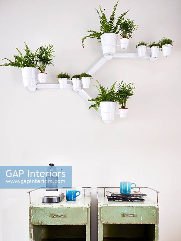 Wall mounted plant pots